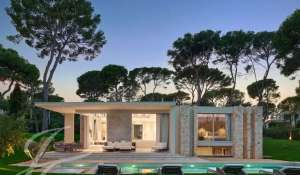 Vente Villa Antibes