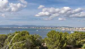 Vente Villa Palma de Mallorca