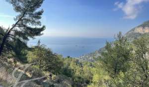 Vente Villa Roquebrune-Cap-Martin