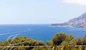 Vente Villa Roquebrune-Cap-Martin